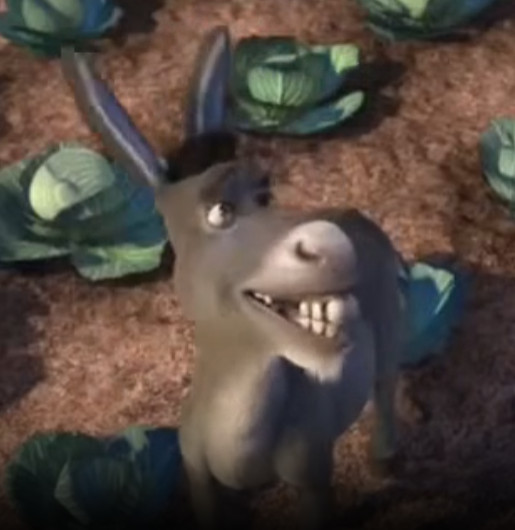 Preview 2 for shrek oignon scene french