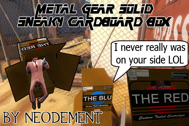MGS Cardboard box