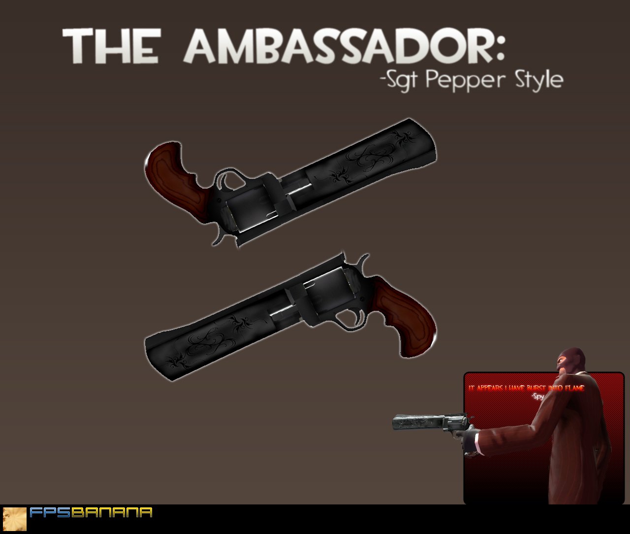 Sgt Pepper's Ambassador