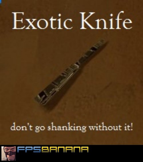 Exotic Knife