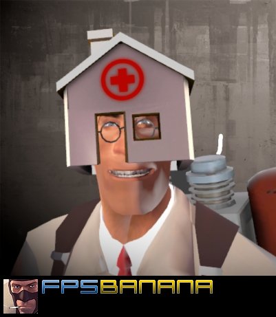 Doctor in a House