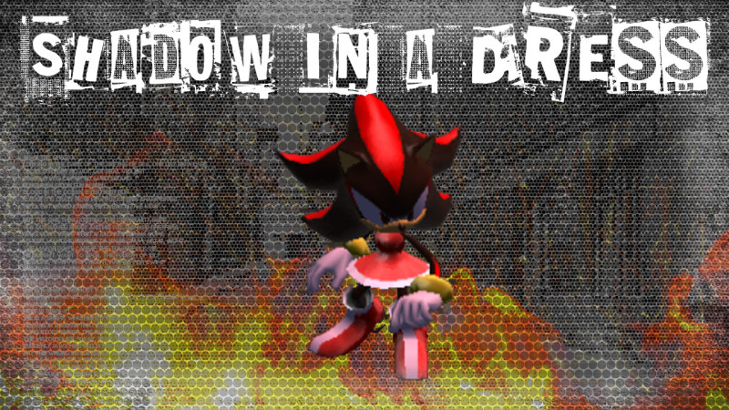 Shadow the edgehog, Shadow The Hedgehog