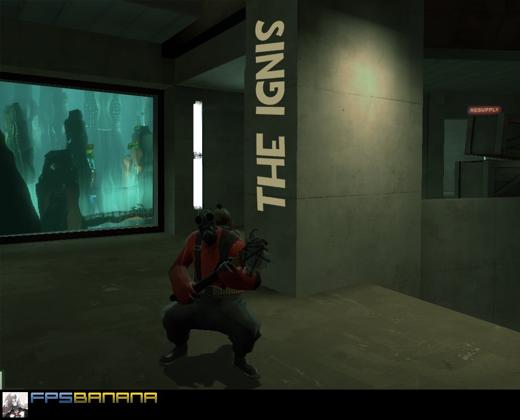 The Ignis