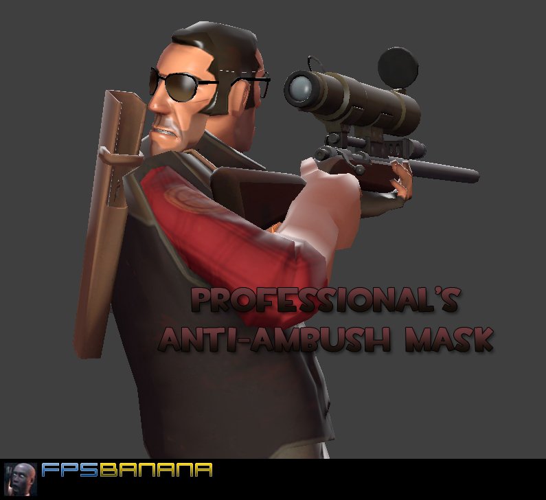 Professional's Anti-Ambush Mask