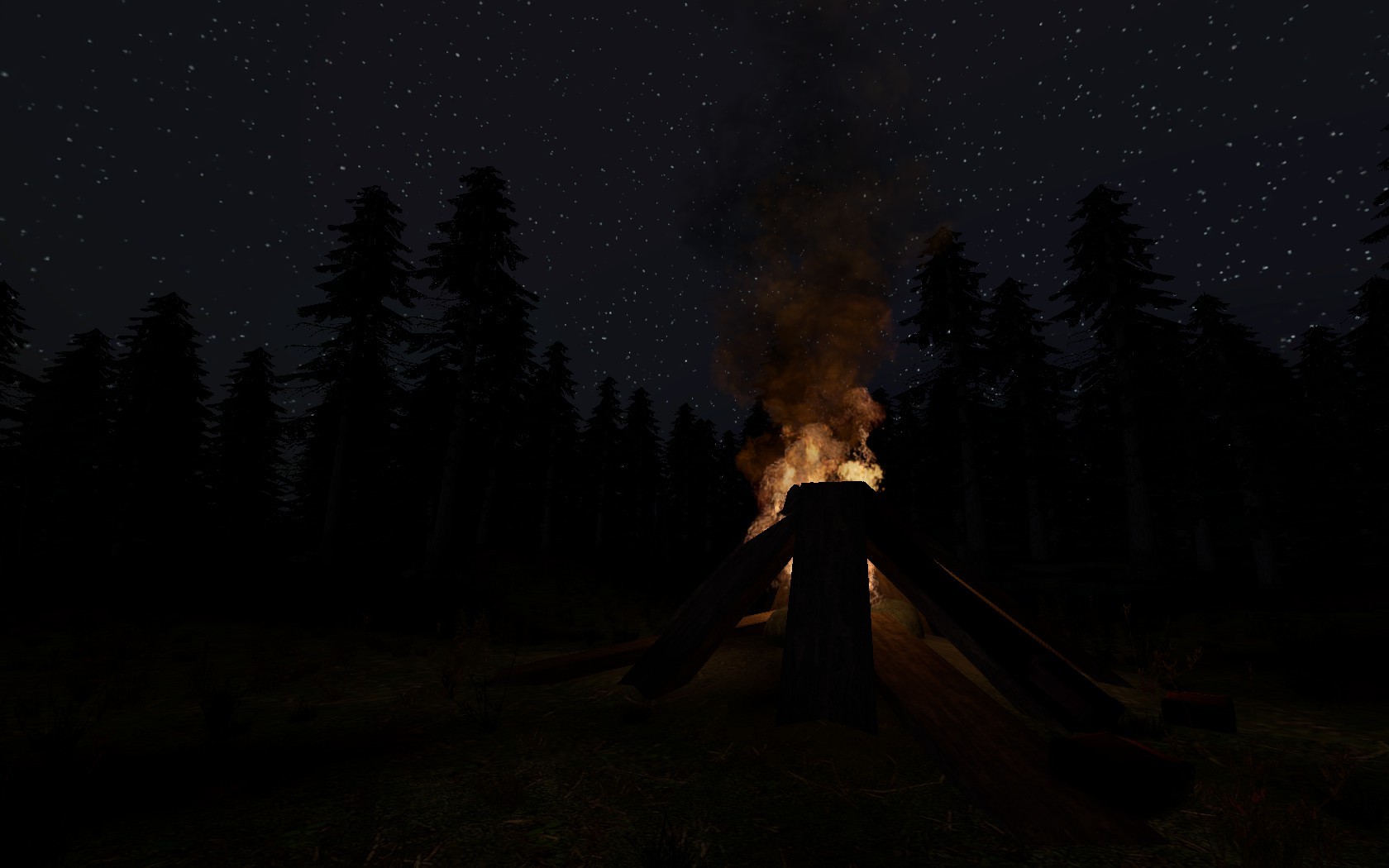 An animate fire during night