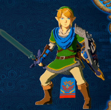 Hyrule Warriors Outfit Link