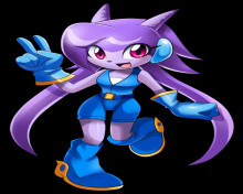 Sash Lilac (Freedom Planet) for CMC+ v7 and 9.4