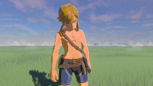 Link Battle Scars Port