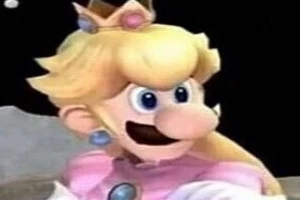princess peach dressed as luigi Does anyone think Luigi looks pretty in Princess Peach's dress? : r/Mario