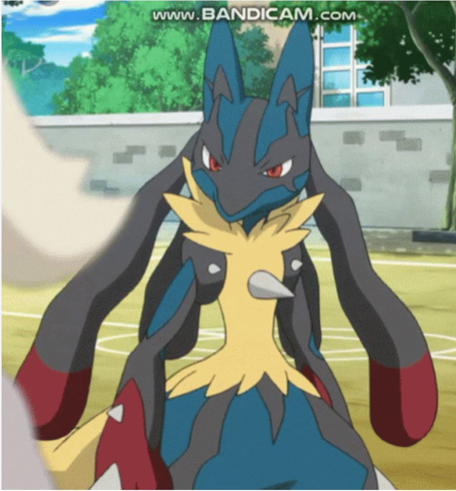 Lucario's fans - I would love a shiny mega Lucario :3 ~Chase the Lucario