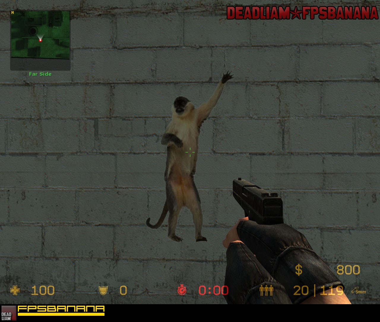 Gay Monkey Counter-Strike Source Sprays