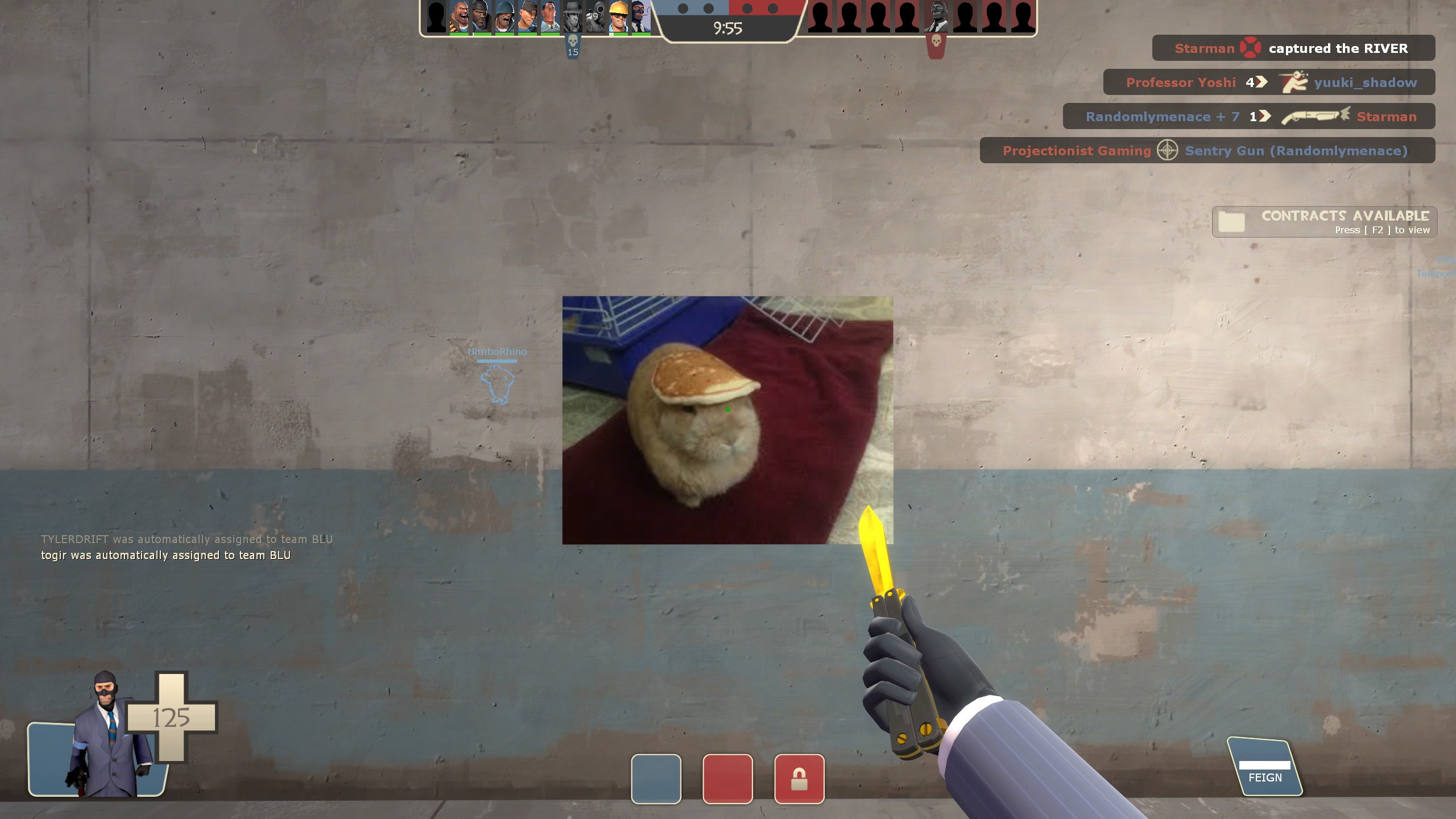 Tf 2 Rabbit Bunny Pancake Spray Spray for Team Fortress 2 | TF2 Sprays