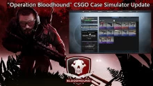 CSGO Case Simulator