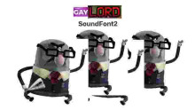 Gaylord Robinson SF2