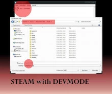 Run Steam.exe in developer-mode.