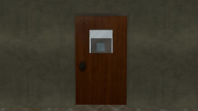 Synchronized Rotating Door With Window