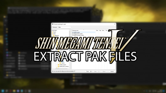 Extract Pak Files (Video)