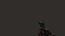 SA1911 Animootions