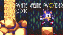 White Feline Wonder Sonic