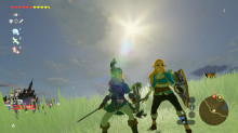 Zelda Companion