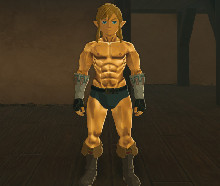 Link's Muscle Suit