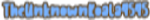 TheUnknownKoala4545 username pic