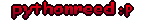 PythonReed username pic