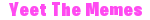 YeetTheMemes username pic