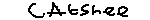 Catshee username pic